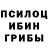 Галлюциногенные грибы мицелий GSA USSR
