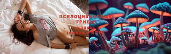 2c-b Алексеевка