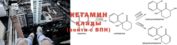 крисы Алексин