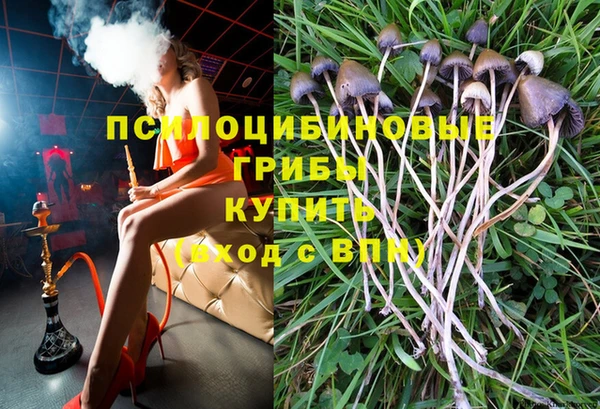 крисы Алексин