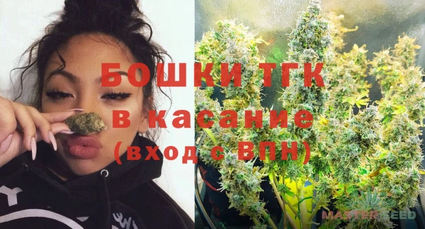 крисы Алексин