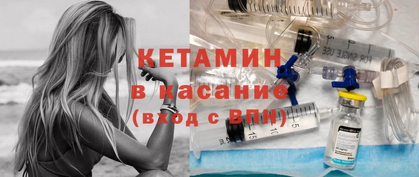крисы Алексин