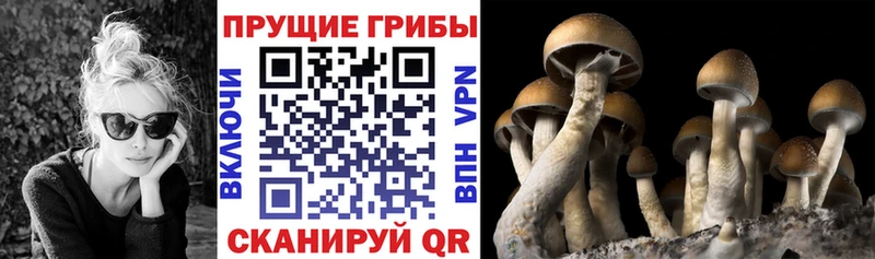 Галлюциногенные грибы MAGIC MUSHROOMS  где найти наркотики  Котельники 