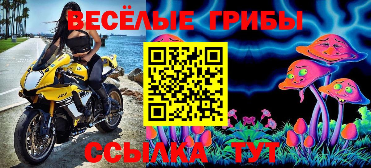 Галлюциногенные грибы Magic Shrooms  Галлюциногенные грибы мицелий  Вход с VPN  Котельники 